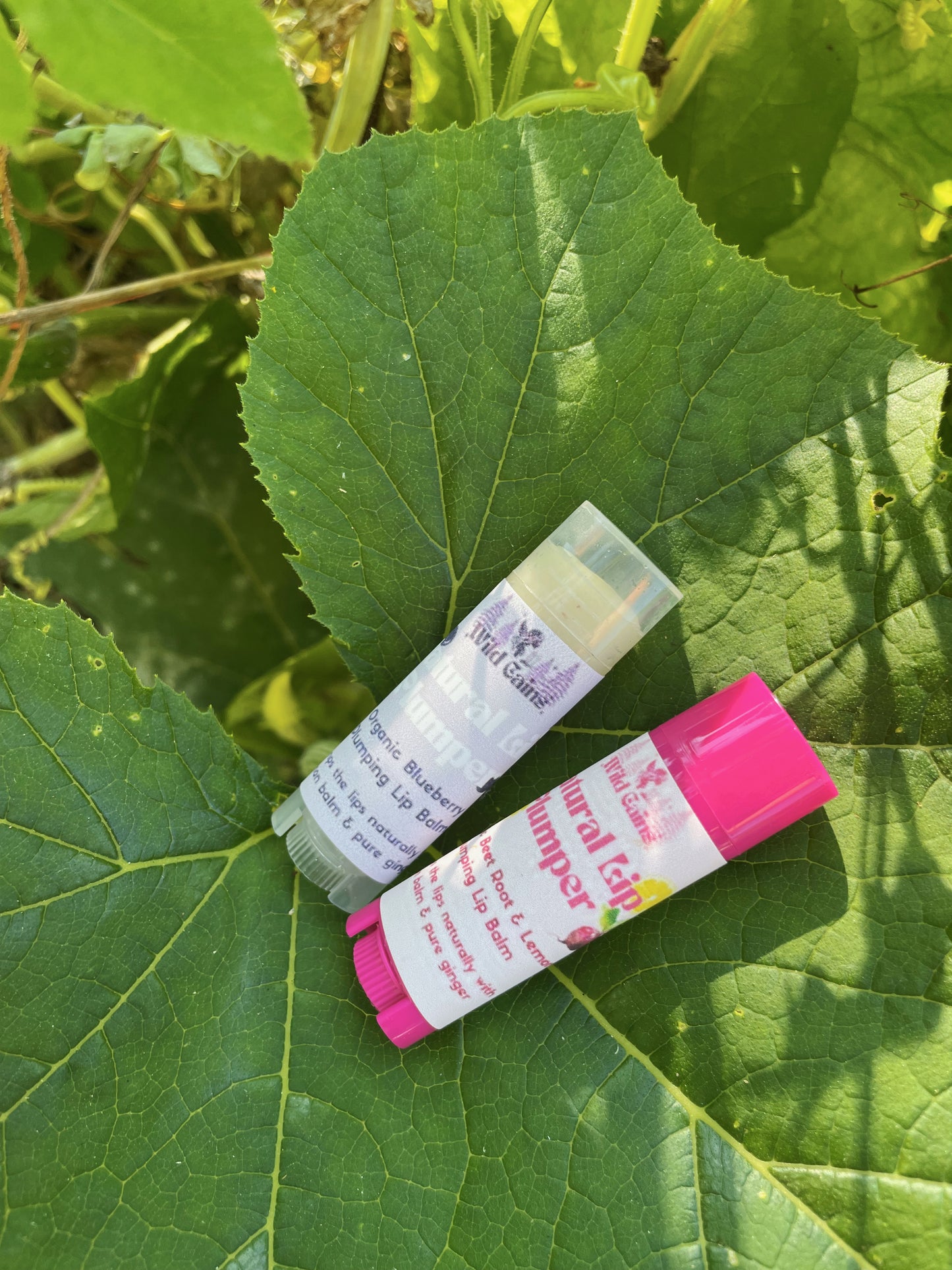 Natural Plumping Lip Balm - Organic Beet Root & Lemon