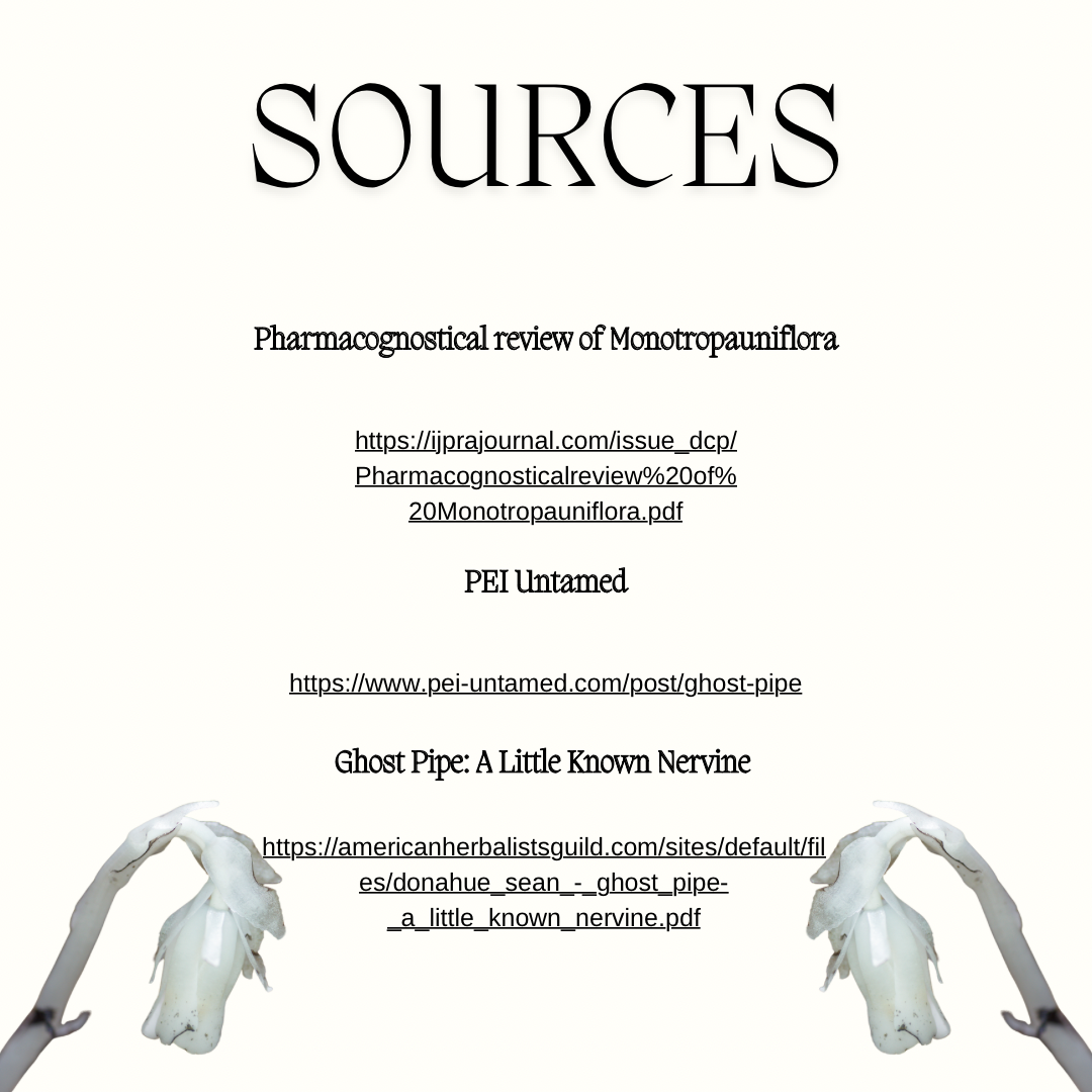 Ghost Pipe Tincture (30ml)