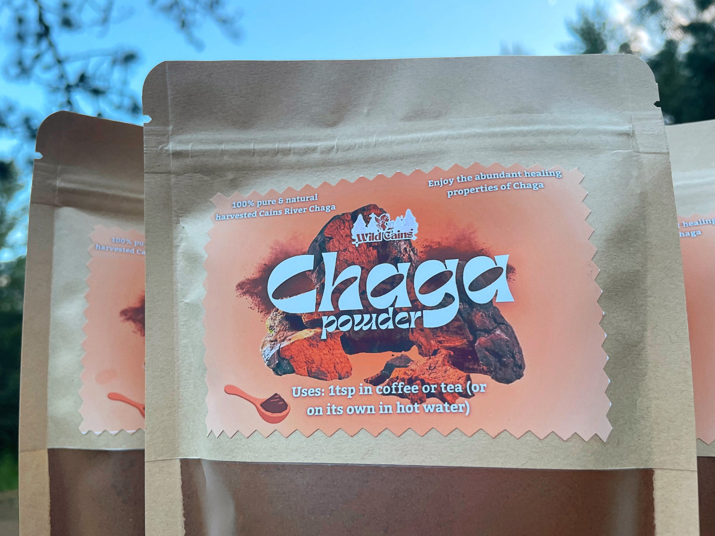 Chaga Powder (4oz)